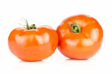 Round Tomatoe Wholesale Suppliers