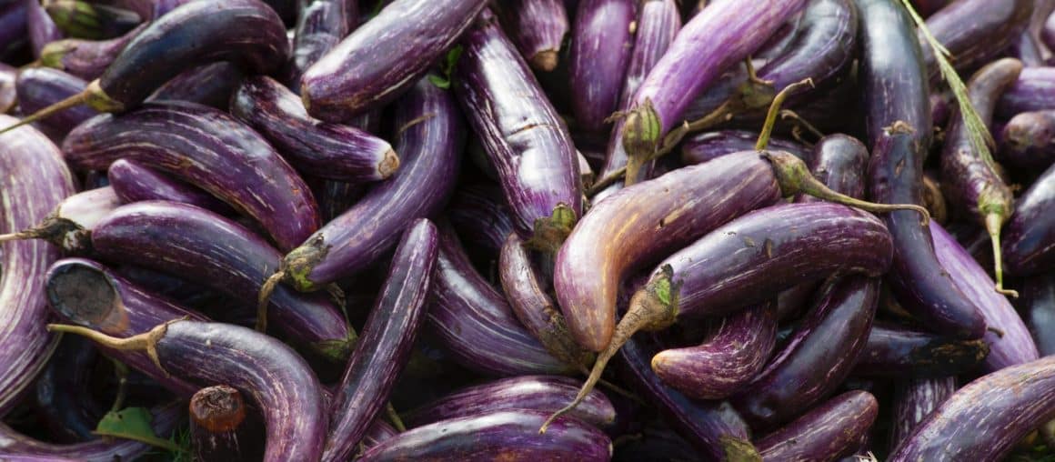 Eggplant Wraps