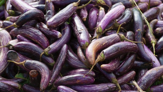 Eggplant Wraps