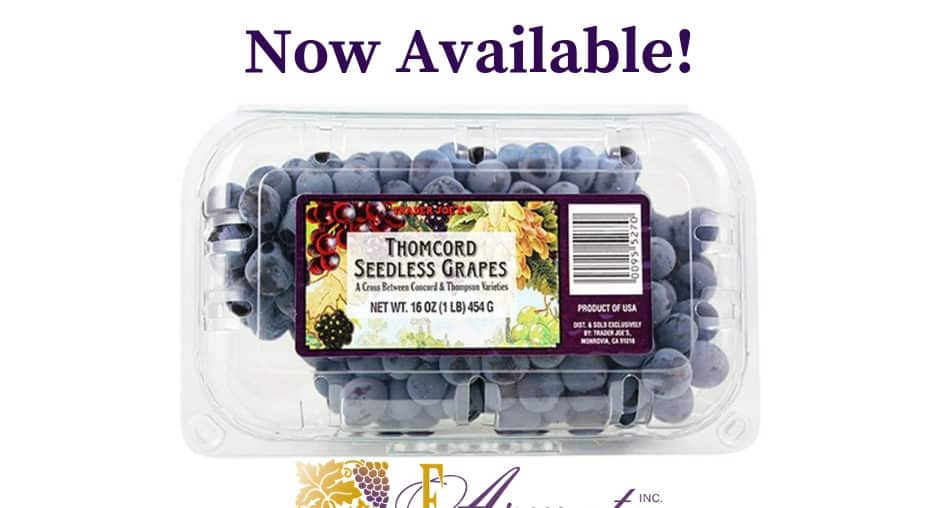 Thomcord Seedless Grapes - Currently Offered At E.Armata