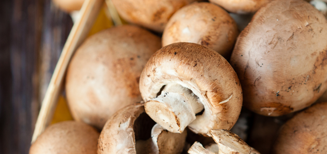 Mushroom Benefits For Your Skin