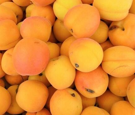 Top 10 Uses For Canned Apricots In 2022