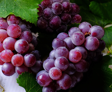 All About Sweet Globe Grapes