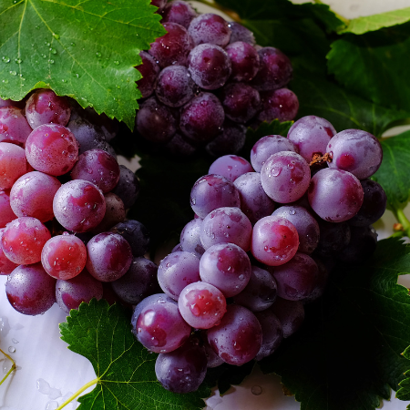 All About Sweet Globe Grapes