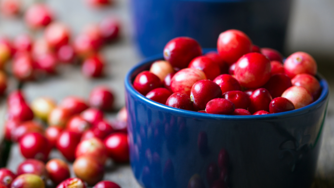 What Do Cranberries Do For The Brain?