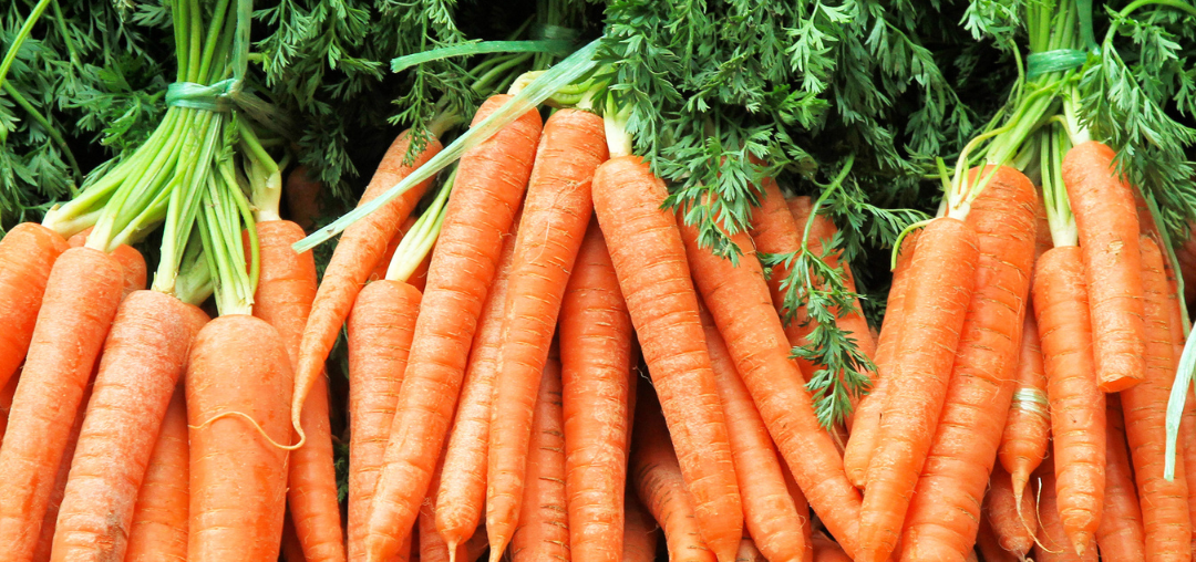 How Can Carrots Help My Body?