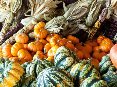 10 Of The Best Vegetables To Buy In The Fall