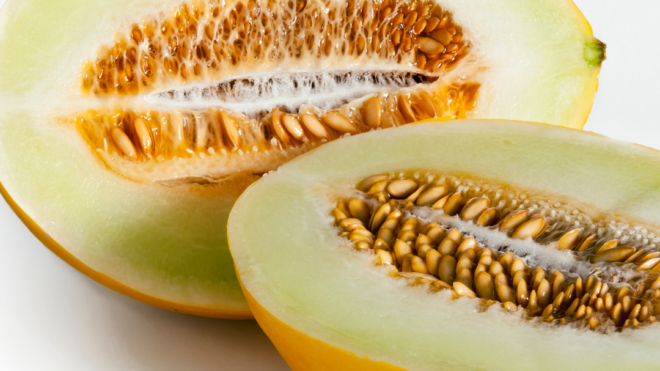 Facts and Information About Canary Melons