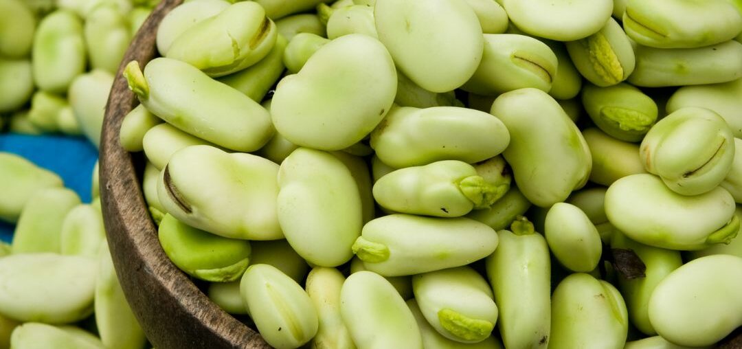 Are Fava Beans Anti Inflammatory?