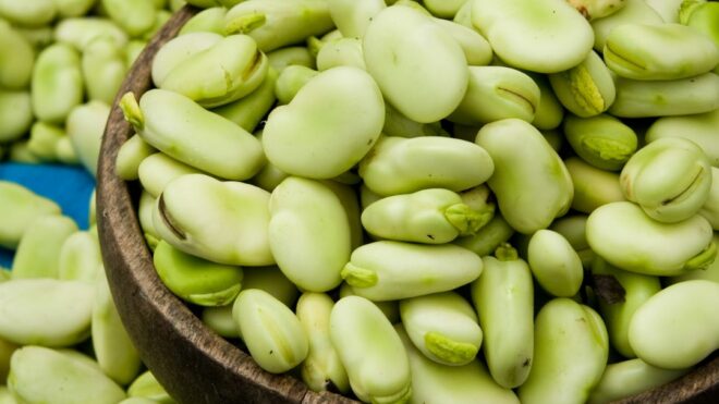 Are Fava Beans Anti Inflammatory?