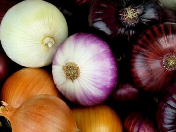 Are You Using The Right Onion?